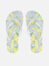 CHINELO DE DEDO BRANCO ESTAMPADO LIMÃO Z 19026 0101 0003 BRIZZA