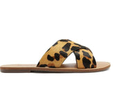 RASTEIRA TIRAS CRUZADAS ONÇA ANIMAL PRINT C 30014 0004 0001 ANACAPRI