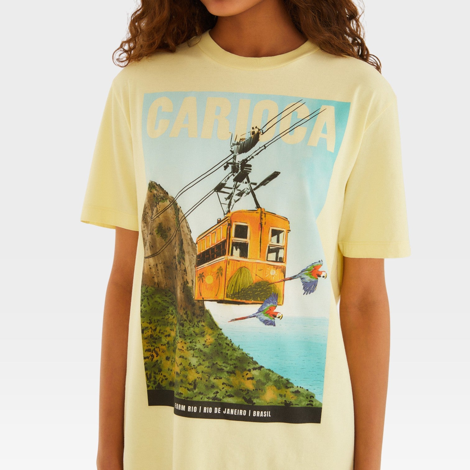 Blusa Feminina FARM RIO ref. BLUSA T - VintedoisK