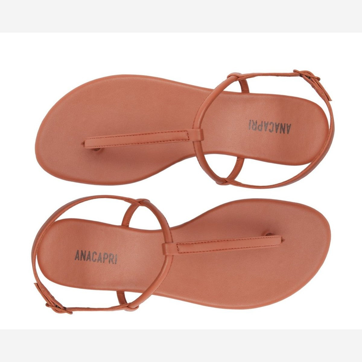 SANDÁLIA RASTEIRA SLIM MARROM C 00294 0011 0116 ANACAPRI
