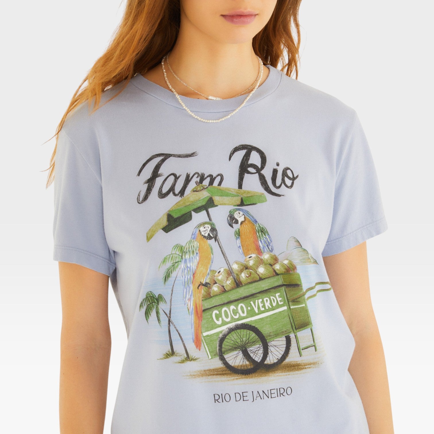 BLUSA T-SHIRT FIT CARRINHO DE COCO 358754 FARM RIO Imagem secundária do produto