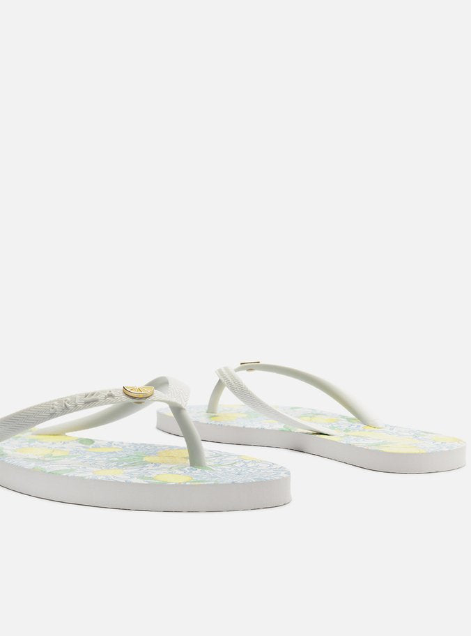 Chinelo Feminina BRIZZA ref. CHINELO DE - VintedoisK