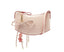 Bolsa Feminina Anacapri ref. BOLSA TIRACOLO - VintedoisK