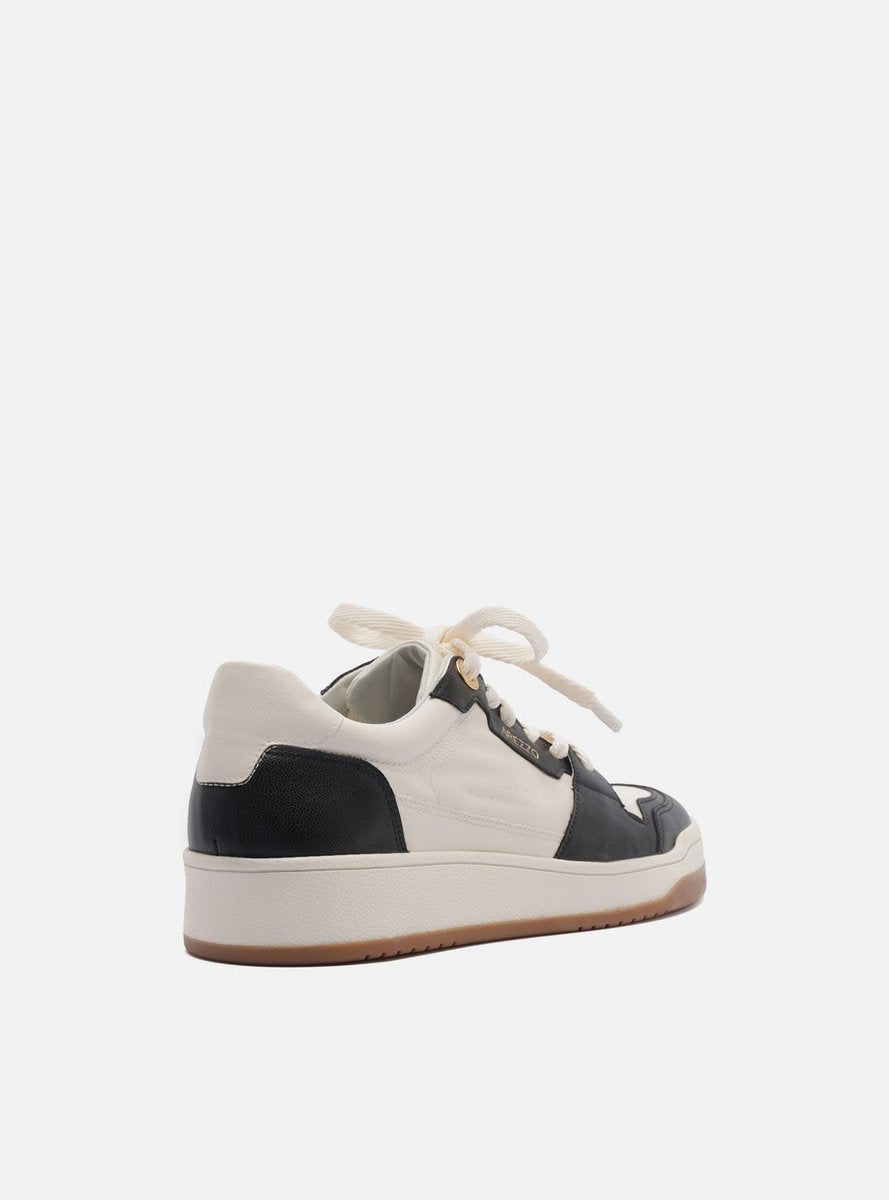 Tênis Feminino Arezzo ref. MULTINEUTRO AMARRA - VintedoisK