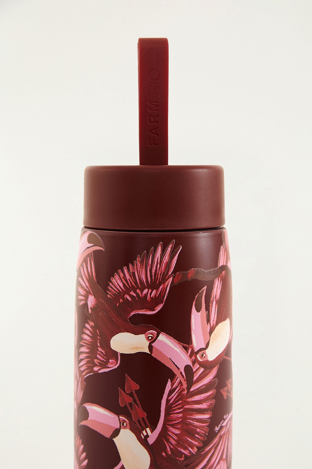 GARRAFA FARM QUE SEDE 750ML DIA DOS NAMO 78334974 FARM ETC Imagem secundária do produto