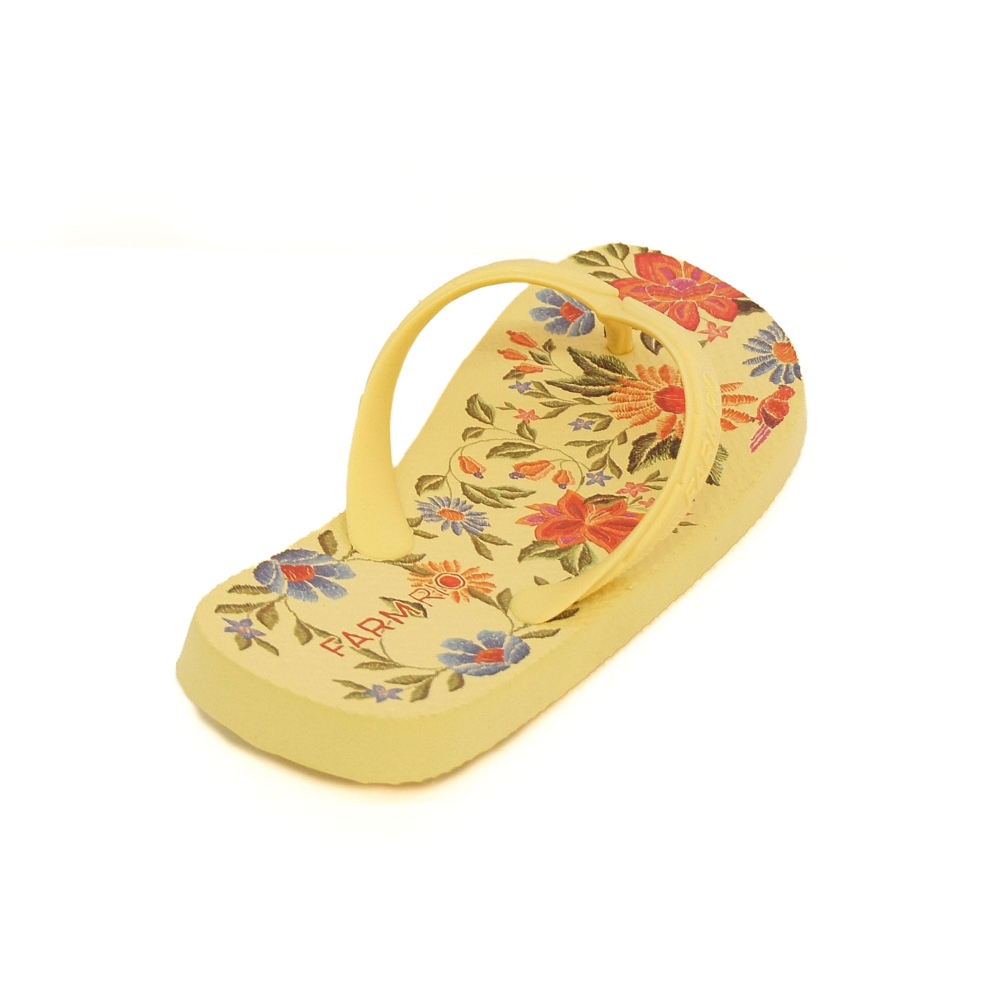 Chinelo Feminino FARM ref. CHINELO DE - VintedoisK