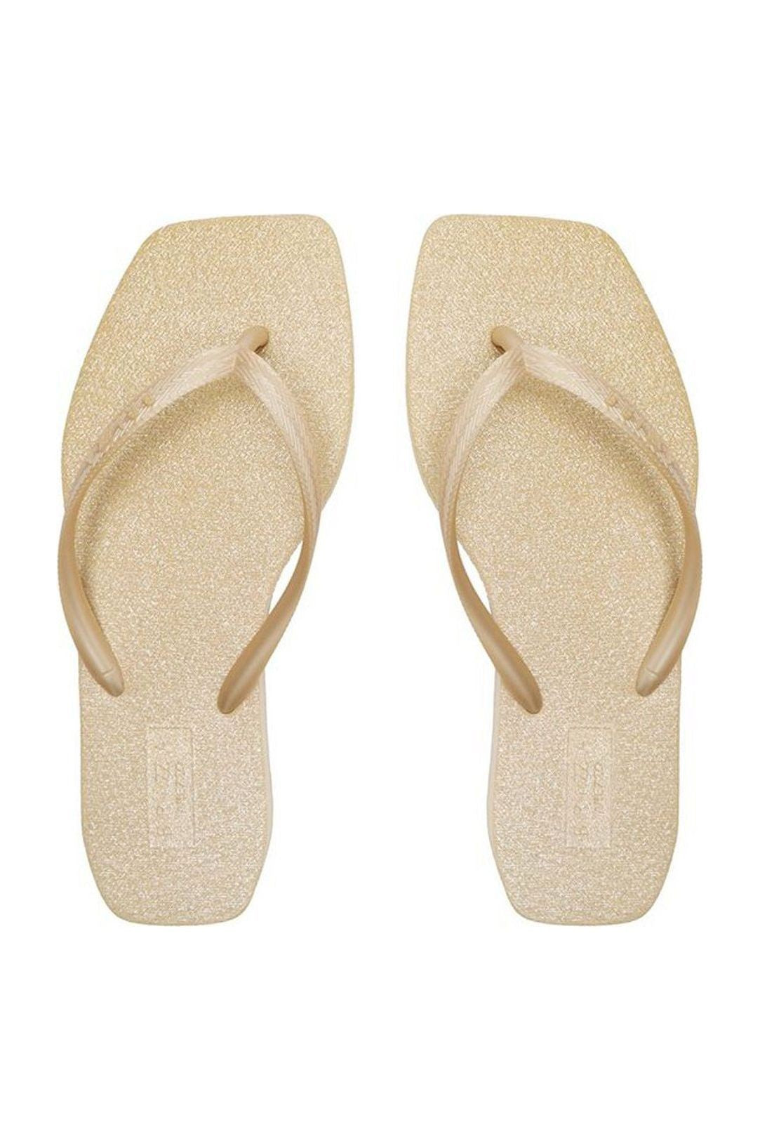 Chinelo Feminina BRIZZA ref. CHINELO DE - VintedoisK