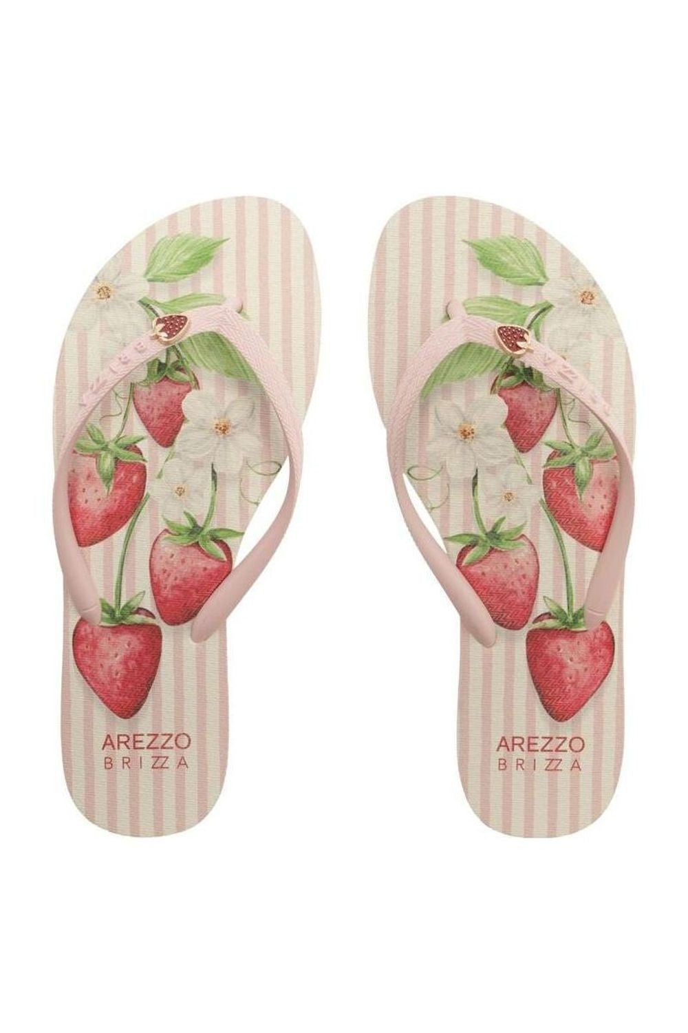 Chinelo Feminino Brizza ref. CHINELO DE - VintedoisK Imagem principal do produto