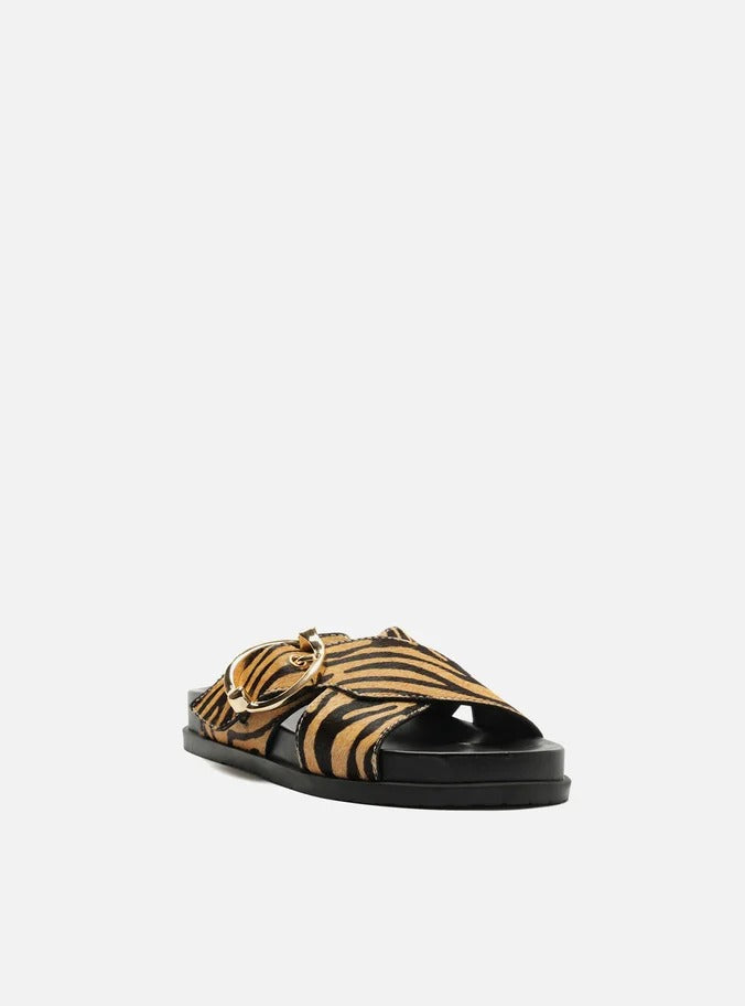 Papete Arezzo animal print preta com fivela dourada, vista frontal em ângulo de três quartos