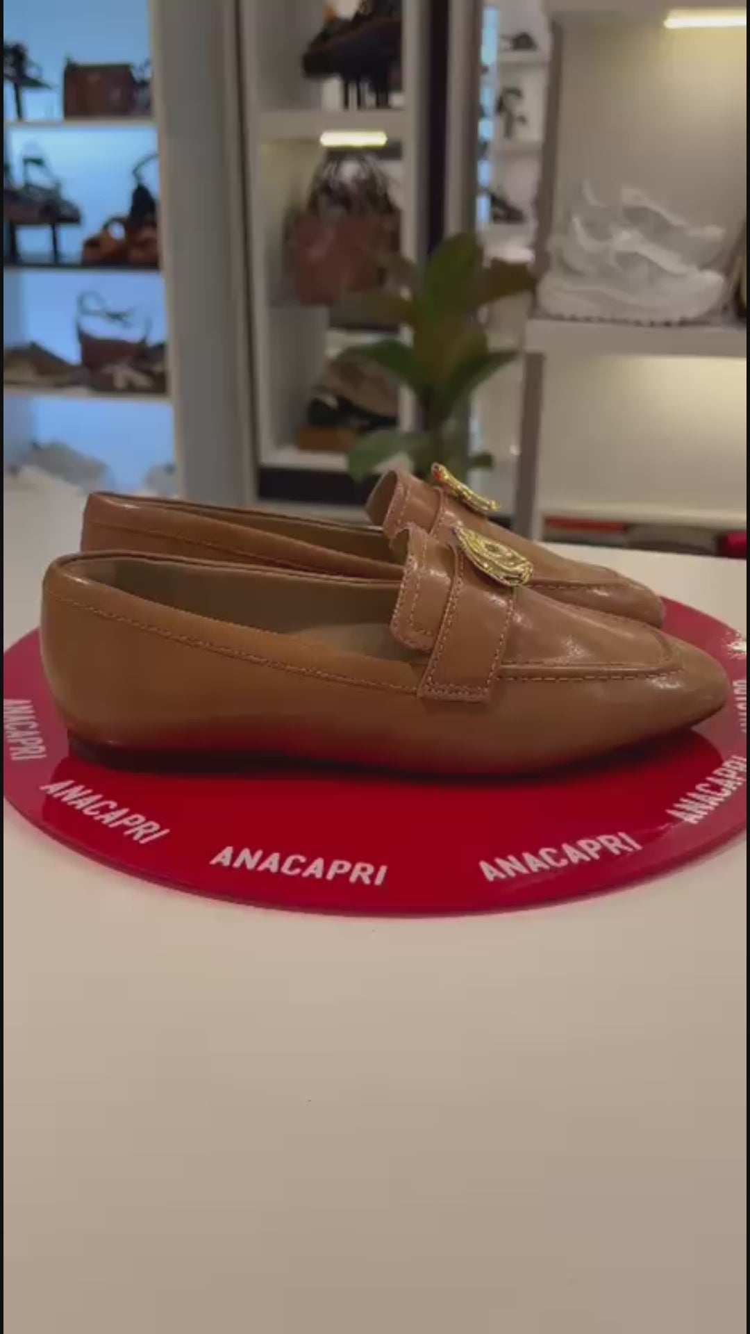 MOCASSIM LISO ADORNO MARROM C 30364 0032 0002 ANACAPRI